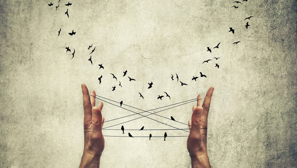 The illusion of Control The Illusion of Control